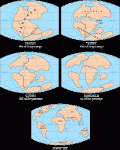 Continental Drift | AstroChix.com